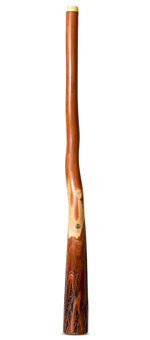 Wix Stix Didgeridoo (WS340)